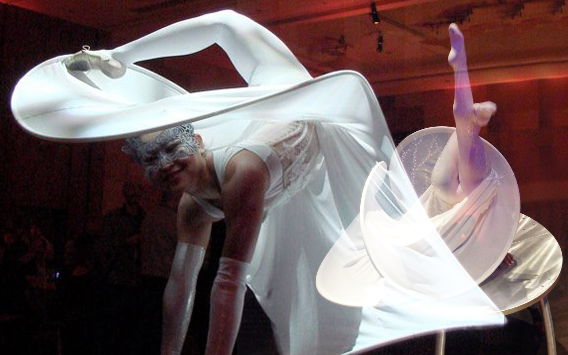 floria contortion