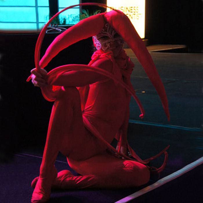 Cirque character