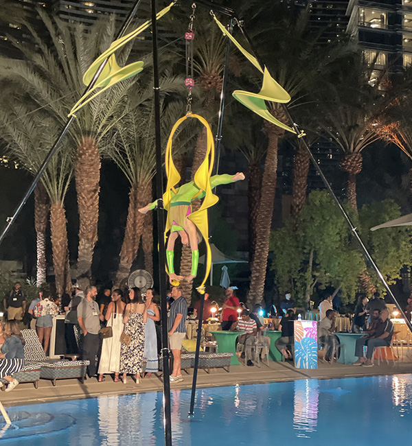 Aerialist Las Vegas Pool