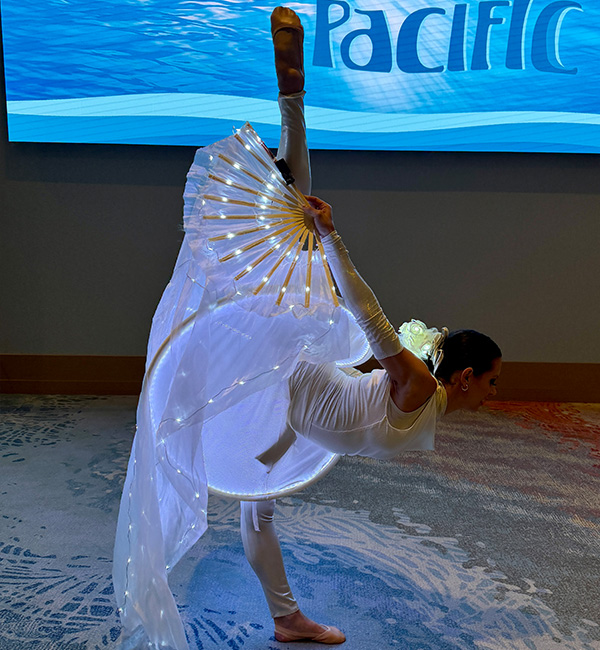 LED FAN dance
